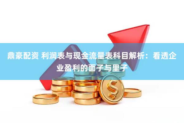 鼎豪配资 利润表与现金流量表科目解析：看透企业盈利的面子与里子