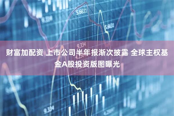财富加配资 上市公司半年报渐次披露 全球主权基金A股投资版图曝光
