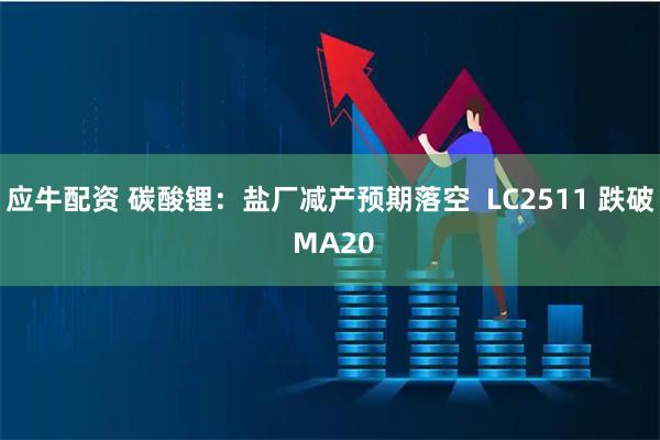 应牛配资 碳酸锂：盐厂减产预期落空  LC2511 跌破 MA20