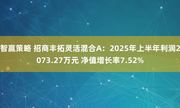 智赢策略 招商丰拓灵活混合A：2025年上半年利润2073.27万元 净值增长率7.52%