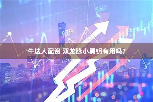 牛达人配资 双龙脉小黑钥有用吗？