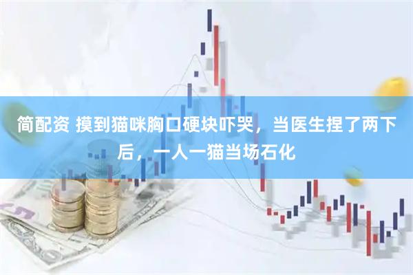 简配资 摸到猫咪胸口硬块吓哭，当医生捏了两下后，一人一猫当场石化