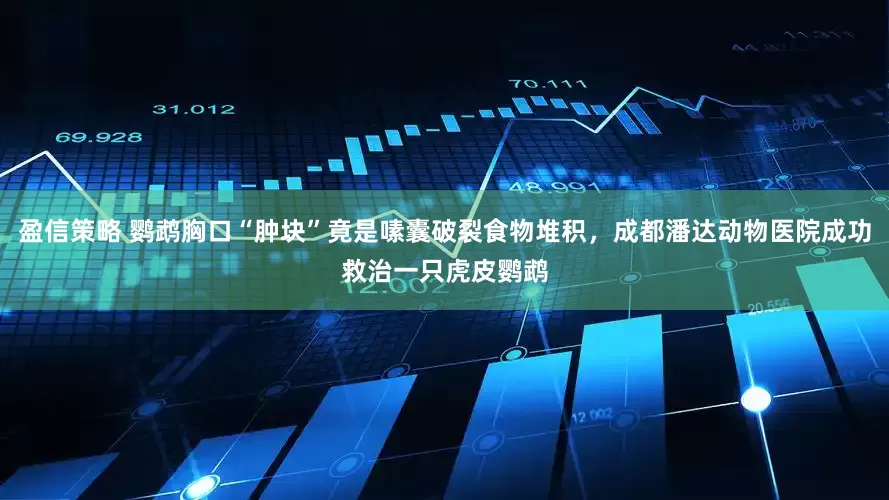 盈信策略 鹦鹉胸口“肿块”竟是嗉囊破裂食物堆积，成都潘达动物医院成功救治一只虎皮鹦鹉